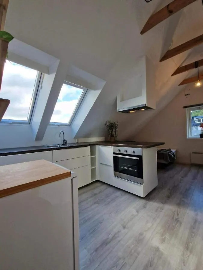 Guesthouse On The Footstep Of Mount Ulriken Bergen Lejlighed