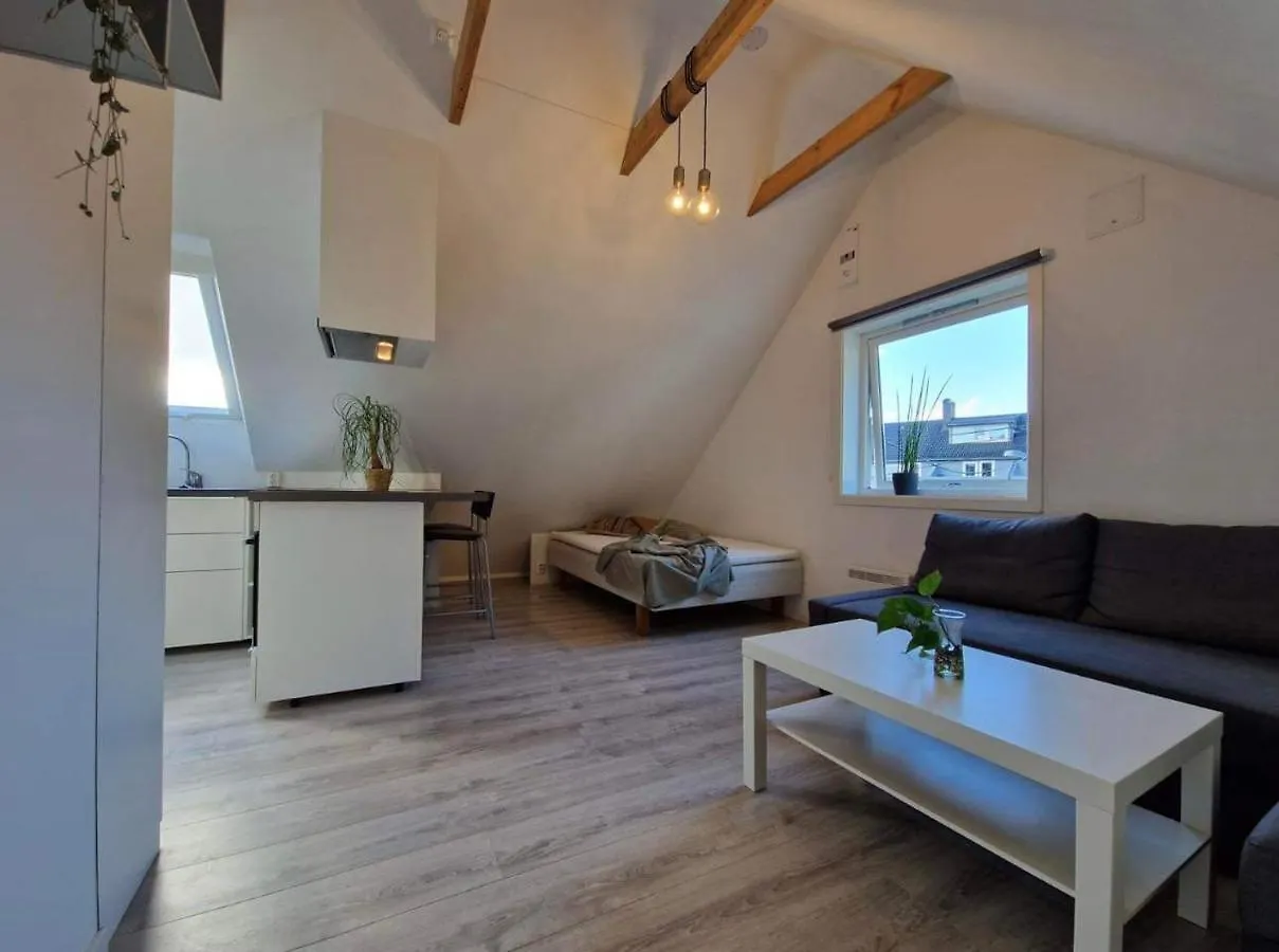 Guesthouse On The Footstep Of Mount Ulriken Bergen